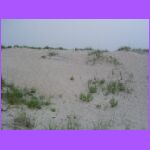 Climbing Sanddunes.jpg